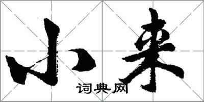 胡問遂小來行書怎么寫