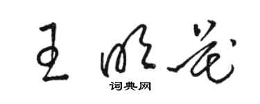 駱恆光王明花草書個性簽名怎么寫