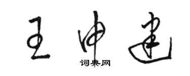 駱恆光王申建草書個性簽名怎么寫