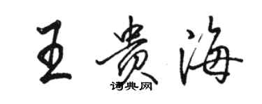 駱恆光王貴海行書個性簽名怎么寫