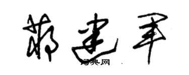 朱錫榮蔣建軍草書個性簽名怎么寫