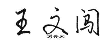 駱恆光王文闖行書個性簽名怎么寫