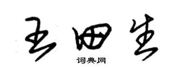 朱錫榮王田生草書個性簽名怎么寫