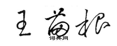 駱恆光王苗根草書個性簽名怎么寫