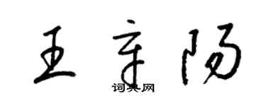 梁錦英王辛陽草書個性簽名怎么寫