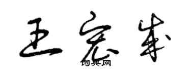 曾慶福王宏成草書個性簽名怎么寫