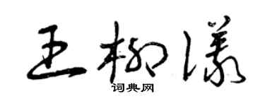 曾慶福王柳儀草書個性簽名怎么寫