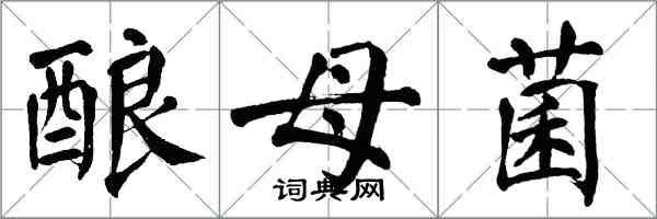 翁闓運釀母菌楷書怎么寫