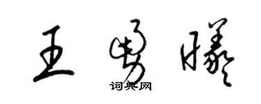 梁錦英王勇曦草書個性簽名怎么寫