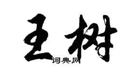胡問遂王樹行書個性簽名怎么寫