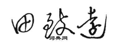 駱恆光田致遠草書個性簽名怎么寫