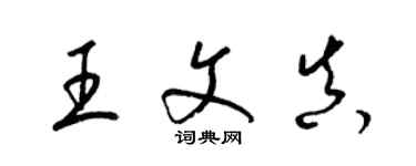 梁錦英王文真草書個性簽名怎么寫