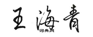 駱恆光王海青行書個性簽名怎么寫