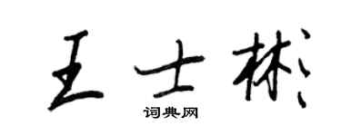 王正良王士彬行書個性簽名怎么寫