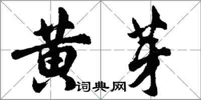 胡問遂黃芽行書怎么寫