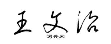 梁錦英王文治草書個性簽名怎么寫