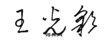 駱恆光王光彩草書個性簽名怎么寫