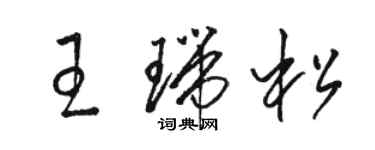 駱恆光王瑞松草書個性簽名怎么寫