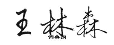 駱恆光王林森行書個性簽名怎么寫