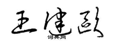 曾慶福王健歐草書個性簽名怎么寫