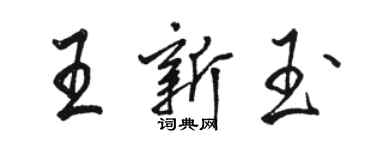 駱恆光王新玉行書個性簽名怎么寫