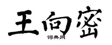翁闓運王向密楷書個性簽名怎么寫