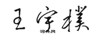 駱恆光王宇朴草書個性簽名怎么寫