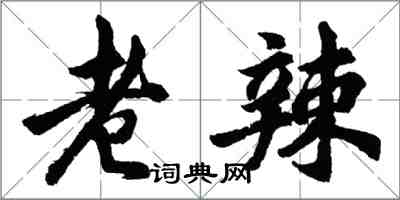 胡問遂老辣行書怎么寫