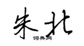王正良朱北行書個性簽名怎么寫