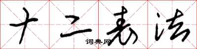 朱錫榮十二表法草書怎么寫