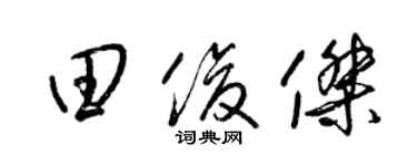 梁錦英田俊傑草書個性簽名怎么寫