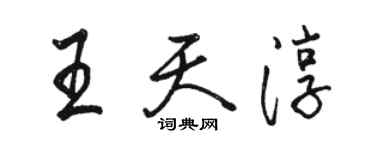 駱恆光王天淳行書個性簽名怎么寫