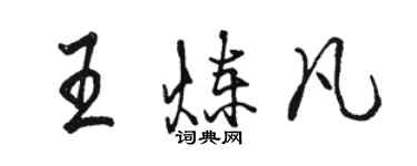 駱恆光王煉凡行書個性簽名怎么寫