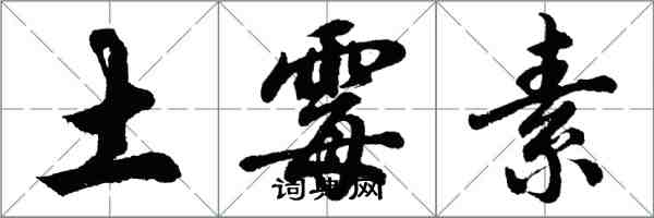 胡問遂土黴素行書怎么寫