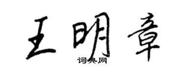 王正良王明章行書個性簽名怎么寫
