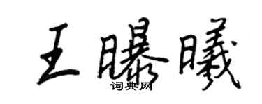 王正良王曝曦行書個性簽名怎么寫