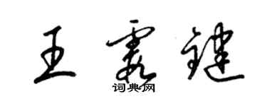 梁錦英王霞鍵草書個性簽名怎么寫