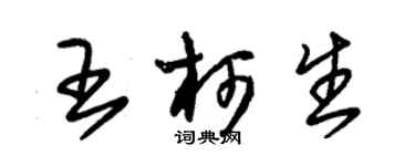 朱錫榮王柯生草書個性簽名怎么寫