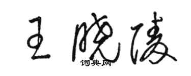 駱恆光王曉陵草書個性簽名怎么寫