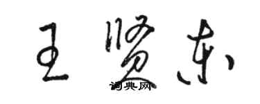 駱恆光王賢東草書個性簽名怎么寫