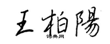 王正良王柏陽行書個性簽名怎么寫