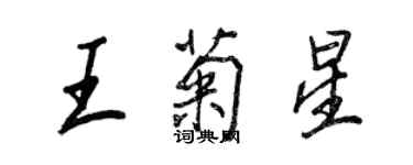 王正良王菊星行書個性簽名怎么寫