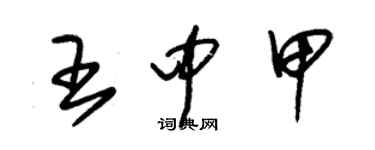 朱錫榮王中甲草書個性簽名怎么寫