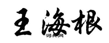 胡問遂王海根行書個性簽名怎么寫