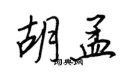 王正良胡孟行書個性簽名怎么寫