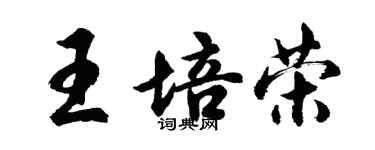 胡問遂王培榮行書個性簽名怎么寫