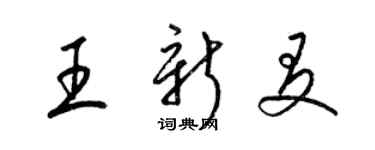 梁錦英王新友草書個性簽名怎么寫