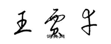 梁錦英王賈幸草書個性簽名怎么寫