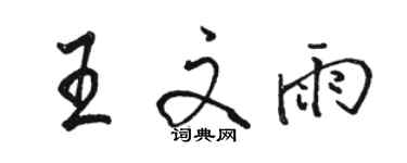 駱恆光王文雨行書個性簽名怎么寫