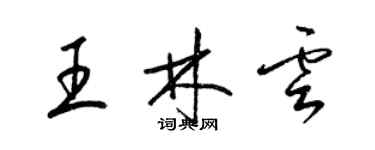 梁錦英王林雲草書個性簽名怎么寫